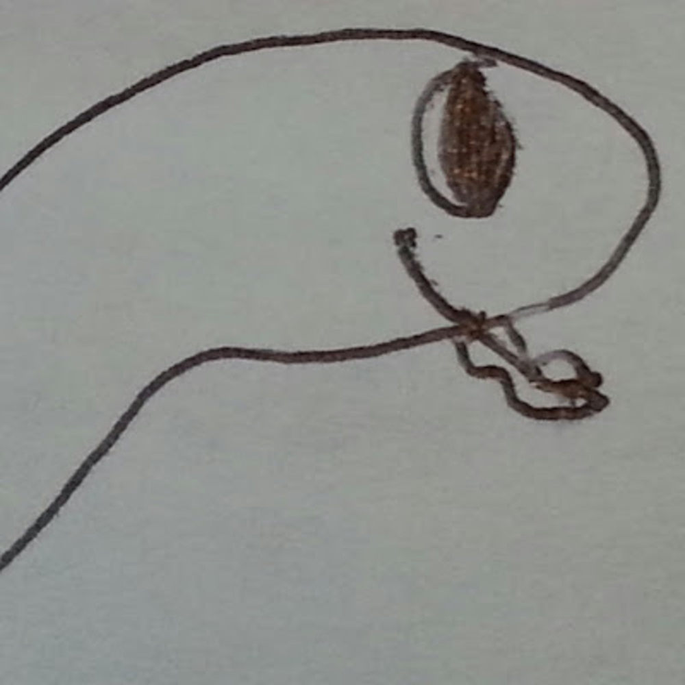 Meet your Posher, Dashthehero